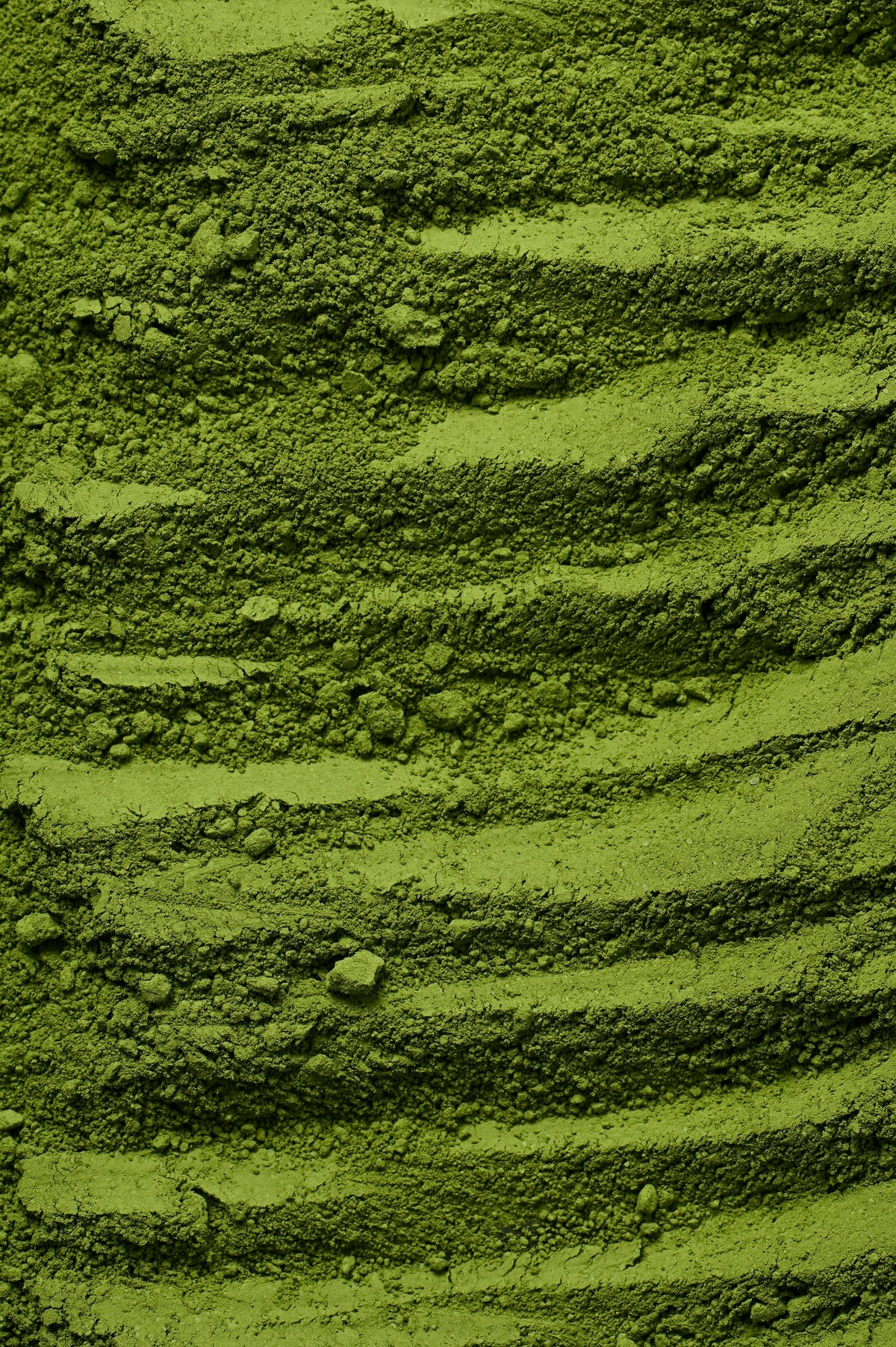 Poudre matcha vert vif