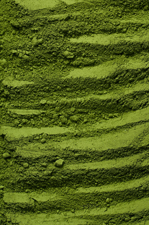 Poudre matcha vert vif